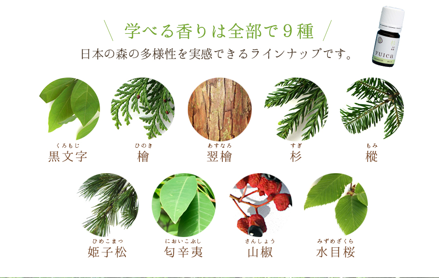 学べる香りは全部で９種 日本の森の多様性を実感できるラインナップです。